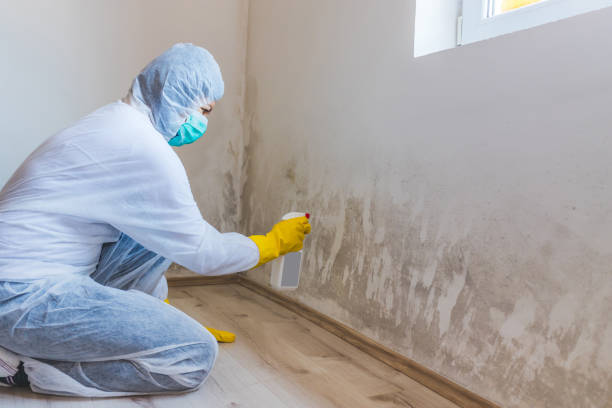 Mold inspector in Elizabethtown performing thermal imaging